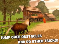 Pony Horse Riding 3D screenshot, image №1333186 - RAWG