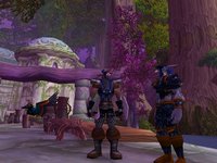 World of Warcraft screenshot, image №351926 - RAWG