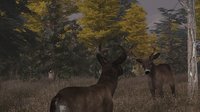 Deer Simulator screenshot, image №330 - RAWG