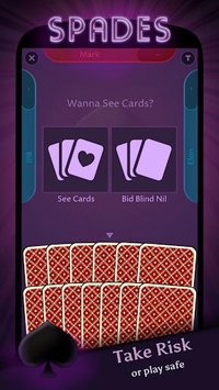 Spades Offline screenshot, image №1410929 - RAWG