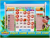 Bingo Kingdom: Free Bingo Game – Live Bingo screenshot, image №1479259 - RAWG