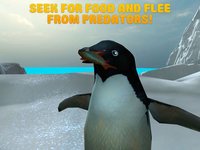 Arctic Penguin Survival Simulator 3D screenshot, image №907662 - RAWG