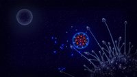 Microcosmum: survival of cells screenshot, image №98416 - RAWG