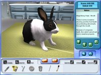 Petz Vet screenshot, image №507654 - RAWG