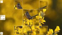 Puzzle Art: Birds screenshot, image №3051762 - RAWG