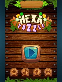 Hexa Wood Block Puzzle! screenshot, image №2036800 - RAWG