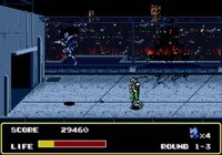 Mazin Saga: Mutant Fighter screenshot, image №759744 - RAWG