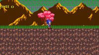 Sonic Speed X-Treme! v0.90 demo screenshot, image №3447909 - RAWG