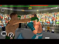 Real 3D Boxing Punch screenshot, image №2112787 - RAWG