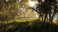 Calming Forest screenshot, image №4178576 - RAWG