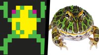 FroggeR (itch) (Robot831) screenshot, image №3144907 - RAWG