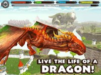 World of Dragons: Dragon Simulator screenshot, image №1968006 - RAWG