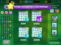Best Casino Bingo screenshot, image №1722952 - RAWG