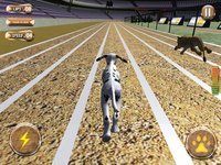 Greyhound Racing Tournament 2 screenshot, image №1989906 - RAWG