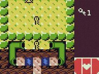 KIWI GAME screenshot, image №2500867 - RAWG