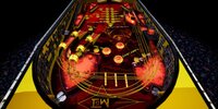 Pinball (MGI Edition) screenshot, image №3142377 - RAWG