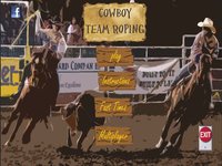 Cowboy Team Roping screenshot, image №1635923 - RAWG