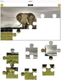 Puzzle Collection: Animals screenshot, image №1338217 - RAWG