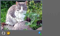 Puzzle with Cute Cats screenshot, image №1172104 - RAWG