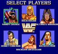 WWF Superstars screenshot, image №752317 - RAWG