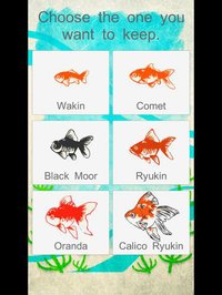 Goldfish Aquarium - Japanese Style screenshot, image №1662221 - RAWG