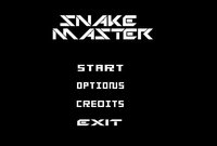 Snake Master screenshot, image №1283962 - RAWG
