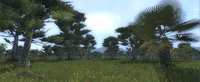 Medieval 2: Total War screenshot, image №444512 - RAWG