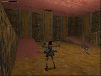 Tomb Raider screenshot, image №320423 - RAWG