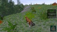 In the Wild screenshot, image №3093645 - RAWG
