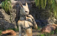 Distant Realities screenshot, image №1973020 - RAWG