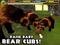 Wildlife Simulator: Bear screenshot, image №1968103 - RAWG