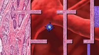 Viral Quest screenshot, image №2252015 - RAWG