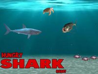 Shark Tank - 3D screenshot, image №1757059 - RAWG