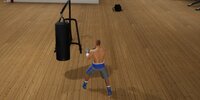 Tactic Boxing screenshot, image №4020650 - RAWG