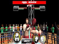 Real Wrestling Fighting screenshot, image №1706030 - RAWG