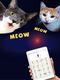 Cat Translator Deluxe screenshot, image №878657 - RAWG