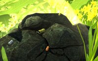 The Peanut and Boris screenshot, image №2770574 - RAWG