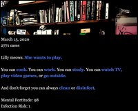 A Stay-At-Home Coronavirus Adventure screenshot, image №2371495 - RAWG