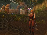 World of Warcraft screenshot, image №351878 - RAWG