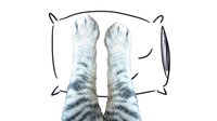Amusing Catventures screenshot, image №1180286 - RAWG