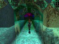 Tomb Raider 3: The Lost Artifact screenshot, image №313841 - RAWG