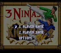 3 Ninjas Kick Back screenshot, image №739460 - RAWG