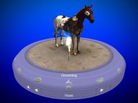 My Horse and Me screenshot, image №483913 - RAWG