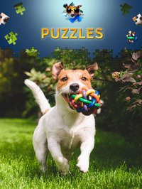 Dogs Jigsaw Puzzle Game. Premium screenshot, image №1802271 - RAWG