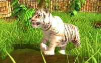 Wildlife Park 3 screenshot, image №109702 - RAWG