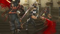 Ninja Gaiden II screenshot, image №514273 - RAWG