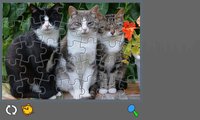 Puzzle with Cute Cats screenshot, image №1172101 - RAWG
