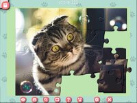 1001 Jigsaw. Cute Cats screenshot, image №3285617 - RAWG