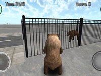 Bear Simulator 3D Madness screenshot, image №1695003 - RAWG