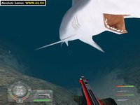 Shark! Hunting the Great White screenshot, image №304724 - RAWG